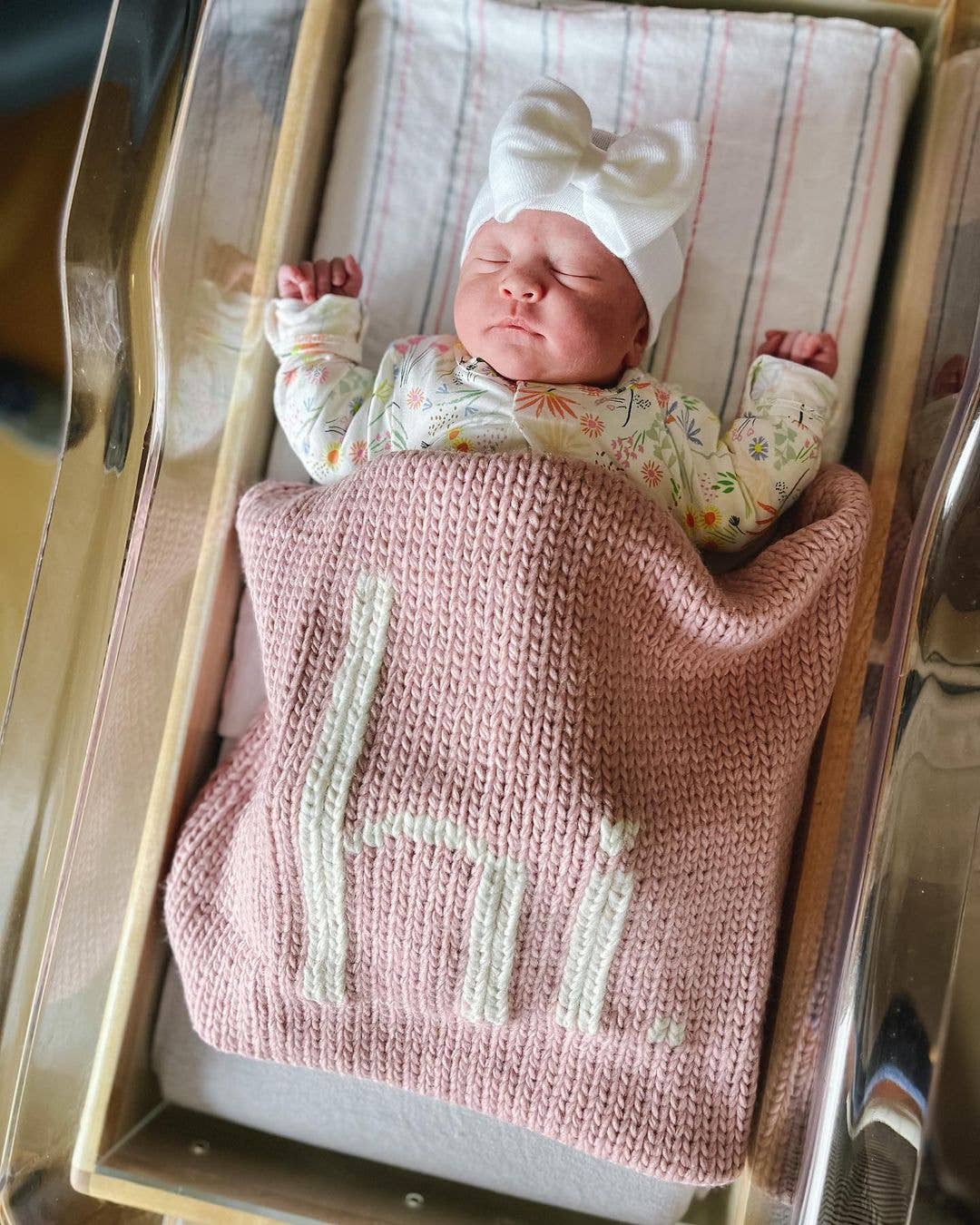 Hi. Hand Knit Baby Blanket Rosy Pink