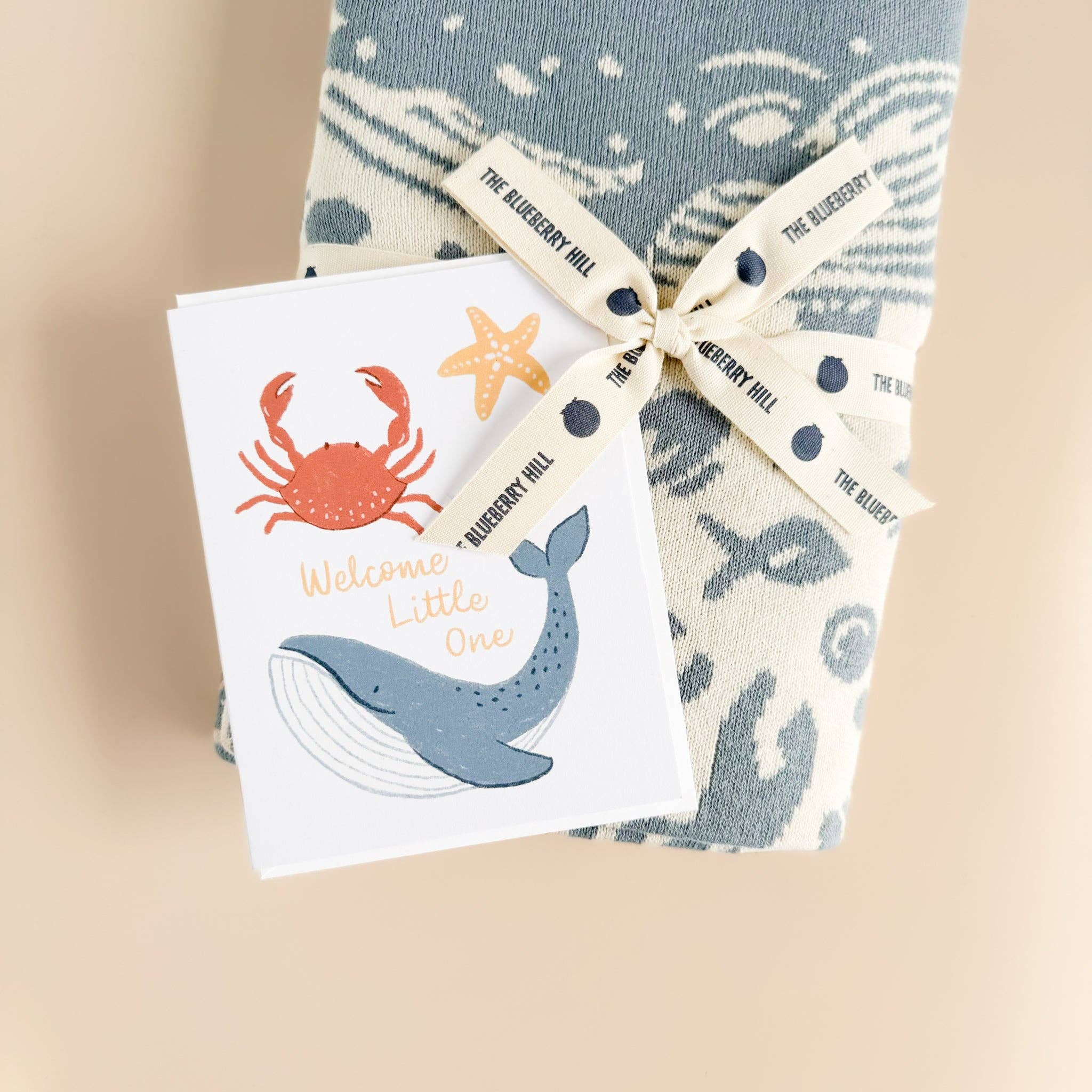 Greeting Card Welcome Little One Nautical